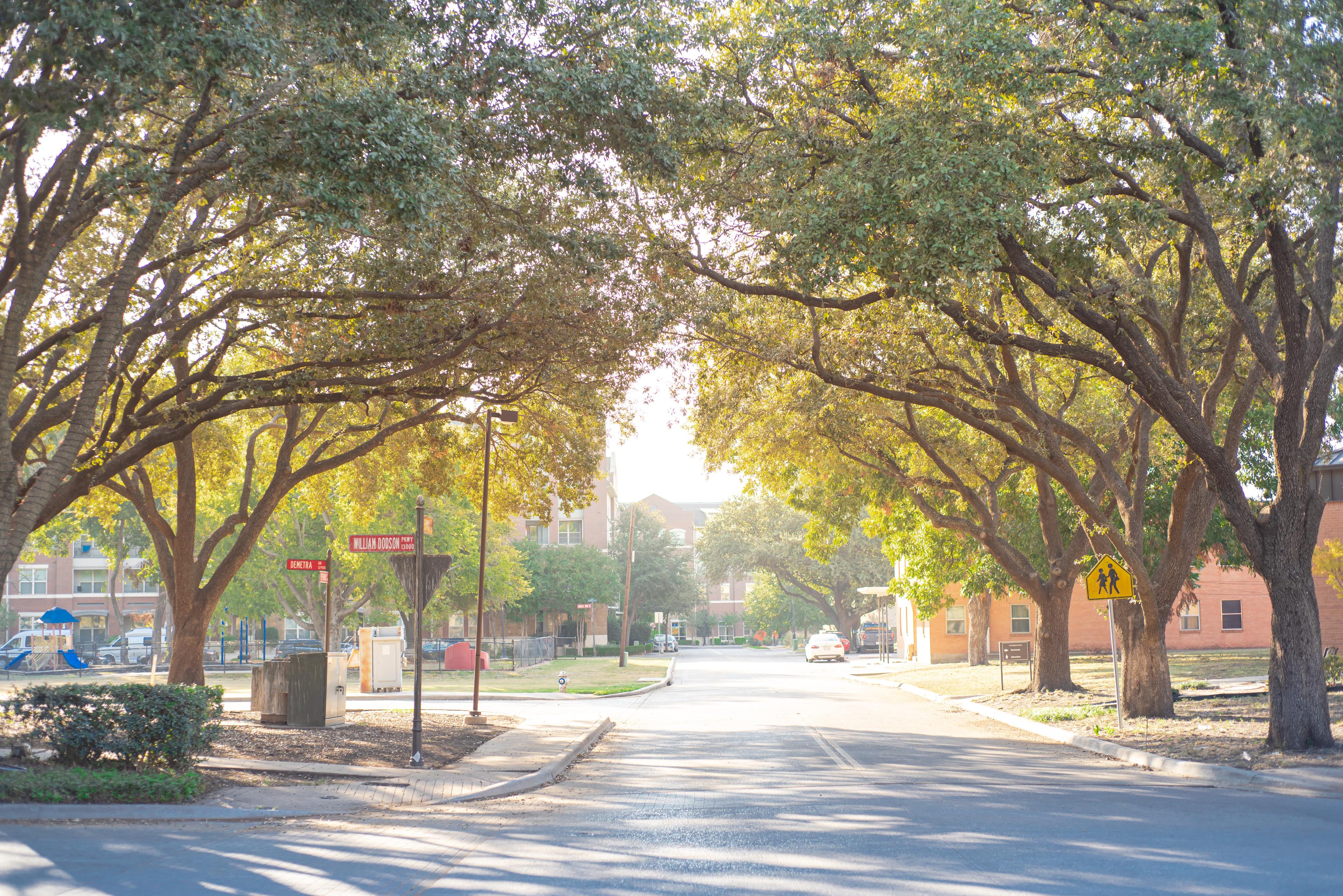 Urban area with tree lined street, high rise buildings, and playground